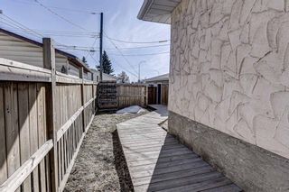 Photo 29: 126 Dovercliffe Way SE in Calgary: Dover Detached for sale : MLS®# A1082276