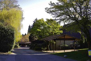 Photo 22: 206 555 W 28TH Street in North Vancouver: Upper Lonsdale Condo for sale in "Cedar Brooke Village Gardens" : MLS®# R2555478