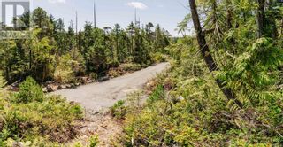 Photo 12: LOT B Hawkes Rd in Ucluelet: Vacant Land for sale : MLS®# 956705
