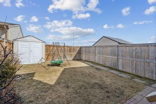 Photo 34: 253 Elgin Meadows Park SE in Calgary: McKenzie Towne Semi Detached (Half Duplex) for sale : MLS®# A2121804