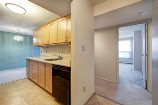 Photo 21: 313 9800 Horton Road SW in Calgary: Haysboro Apartment for sale : MLS®# A2006085