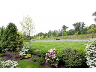 Photo 19: 128 13888 70TH Avenue in Surrey: East Newton Townhouse for sale in "Chelsea Gardens" : MLS®# F1440954