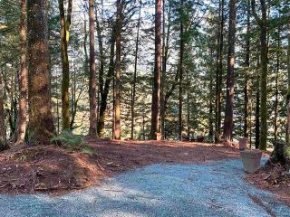 Photo 14: 9 36264 HARTLEY Road in Mission: Durieu Land for sale in "ALLAN LAKE" : MLS®# R2760959