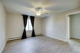 Photo 12: 5309 604 8 Street SW: Airdrie Apartment for sale : MLS®# A2125479