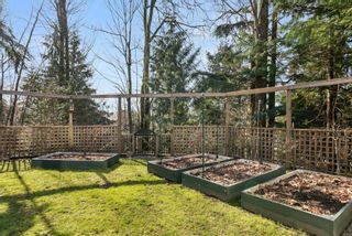 Photo 36: 32474 EGGLESTONE Avenue in Mission: Mission BC House for sale : MLS®# R2652188