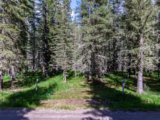 Photo 12: 49 Burney Road: Bragg Creek Residential Land for sale : MLS®# A2059109