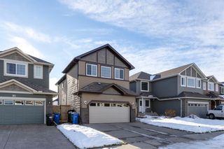 Photo 43: 106 Everhollow Green SW in Calgary: Evergreen Detached for sale : MLS®# A2013156