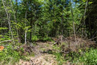 Photo 14: Lot 8 Old Renfrew Road in Upper Rawdon: 105-East Hants/Colchester West Vacant Land for sale (Halifax-Dartmouth)  : MLS®# 202306243
