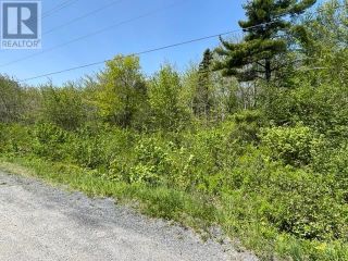 Photo 2: Roy Turner Road|PID#70071337 in Milton: Vacant Land for sale : MLS®# 202310249