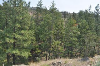 Photo 13: #LOT 19 3200 EVERGREEN Drive, in Penticton: Vacant Land for sale : MLS®# 194132