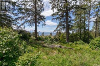 Photo 10: 7200 East Sooke Rd in Sooke: Vacant Land for sale : MLS®# 900244