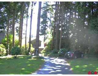 Photo 7: 12636 STATION PL in Surrey: Panorama Ridge House for sale in "PANORAMA RIDGE" : MLS®# F2616401
