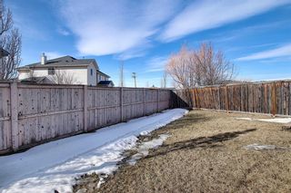 Photo 41: 154 WEST CREEK Bay: Chestermere Semi Detached for sale : MLS®# A1077510