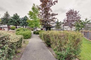 Photo 34: 47 11229 232 Street in Maple Ridge: Cottonwood MR Townhouse for sale in "Foxfield" : MLS®# R2600565