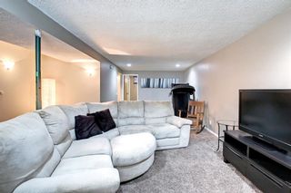 Photo 31: 400 Whiteland Drive NE in Calgary: Whitehorn Detached for sale : MLS®# A1229643