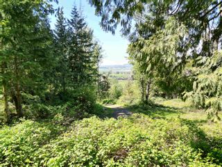 Photo 17: 39730 OLD YALE Road in Abbotsford: Sumas Prairie Land for sale : MLS®# R2877038
