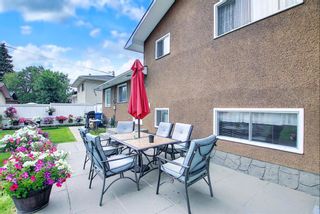 Photo 19: 28 Queen Isabella Close SE in Calgary: Queensland Detached for sale : MLS®# A1208214