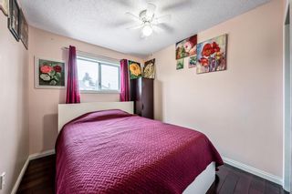 Photo 15: 59 ERIN GREEN Way SE in Calgary: Erin Woods Detached for sale : MLS®# A2053027