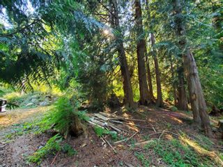 Photo 47: 3080 Michelson Rd in Sooke: Sk Otter Point House for sale : MLS®# 914200