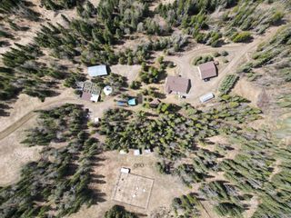 Photo 44: 5519 Township Road 292 Township: Rural Mountain View County Detached for sale : MLS®# A2105851