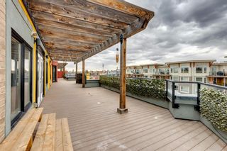 Photo 37: 502 611 Edmonton Trail NE in Calgary: Crescent Heights Apartment for sale : MLS®# A2042233