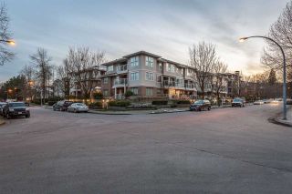 Photo 19: 104 2432 WELCHER Avenue in Port Coquitlam: Central Pt Coquitlam Townhouse for sale in "The Gardenia" : MLS®# R2340944