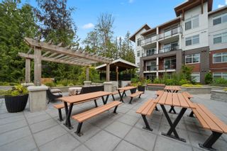 Photo 13: 428 5415 BRYDON Crescent in Langley: Langley City Condo for sale in "THE AUDLEY" : MLS®# R2698595
