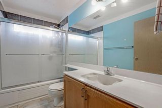 Photo 20: 16 Laguna Close in Calgary: Monterey Park Detached for sale : MLS®# A1043716
