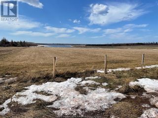 Photo 10: Lot Duguay Point in Little Shemogue: Vacant Land for sale : MLS®# M152046