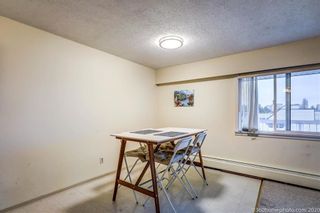 Photo 6: 311 6420 BUSWELL Street in Richmond: Brighouse Condo for sale : MLS®# R2820018
