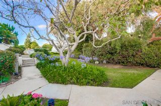 Photo 2: OCEAN BEACH Townhouse for sale : 2 bedrooms : 4863 Orchard Ave in San Diego