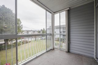 Photo 29: 216 5379 205 Street in Langley: Langley City Condo for sale : MLS®# R2765936