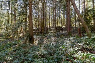 Photo 24: Lot 12 Mountain Rd in Duncan: Vacant Land for sale : MLS®# 959360