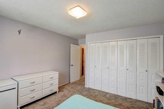 Photo 15: 5 228 Theodore Place NW in Calgary: Thorncliffe Row/Townhouse for sale : MLS®# A2073785