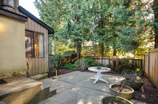 Photo 24: 4950 THORNWOOD Place in Burnaby: Greentree Village House for sale (Burnaby South)  : MLS®# R2849701
