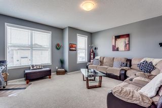 Photo 20: 66 Skyview Point Rise NE in Calgary: Skyview Ranch Detached for sale : MLS®# A1212489
