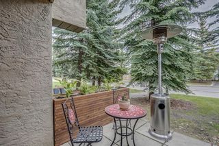 Photo 23: 1 215 Village Terrace SW in Calgary: Patterson Apartment for sale : MLS®# A2084407