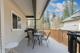 Photo 16: 10682 244 STREET in Maple Ridge: Albion House for sale : MLS®# R2562818