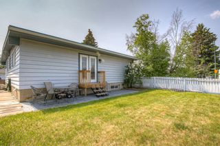 Photo 49: 2311 Maunsell Drive NE in Calgary: Mayland Heights Detached for sale : MLS®# A2053042