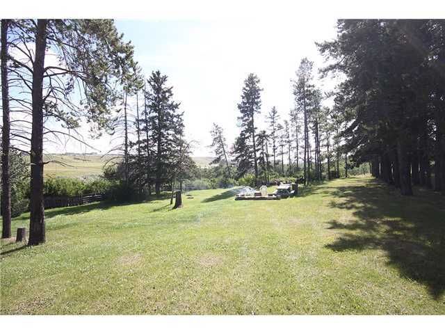 Main Photo: 270020 RGE RD 45 in COCHRANE: Rural Rocky View MD Residential Detached Single Family for sale : MLS®# C3503271