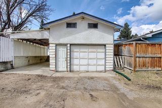 Photo 33: 166 Havenhurst Crescent SW in Calgary: Haysboro Detached for sale : MLS®# A1095089