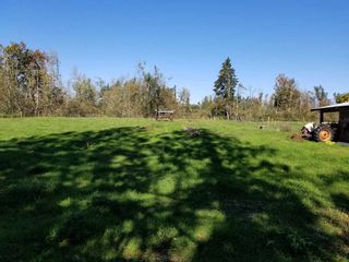 Photo 13: 30189 OLD YALE Road in Abbotsford: Aberdeen House for sale : MLS®# R2412392