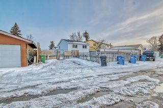 Photo 37: 107 Erin Woods Drive SE in Calgary: Erin Woods Detached for sale : MLS®# A2034907