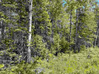 Photo 3: Lot 21-2 Alma Road in Loch Broom: 108-Rural Pictou County Vacant Land for sale (Northern Region)  : MLS®# 202120252