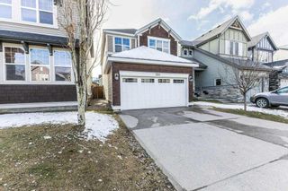 Photo 36: 150 Skyview Point Crescent NE in Calgary: Skyview Ranch Detached for sale : MLS®# A2124250
