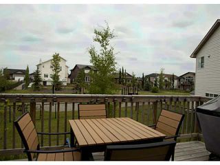 Photo 17: 236 HILLCREST Court: Strathmore Residential Detached Single Family for sale : MLS®# C3576153