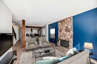 Photo 11: 42 Dalhousie Crescent NW in Calgary: Dalhousie Semi Detached (Half Duplex) for sale : MLS®# A2130922