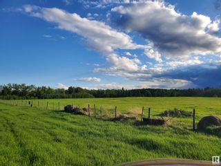 Photo 6: 51022 Range Road 263: Rural Parkland County Vacant Lot/Land for sale : MLS®# E4379832