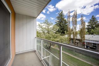 Photo 17: 202 4455C Greenview Drive NE in Calgary: Greenview Apartment for sale : MLS®# A1110677