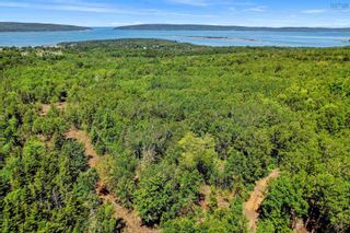 Photo 7: Lot Highway 101 in Smiths Cove: Digby County Vacant Land for sale (Annapolis Valley)  : MLS®# 202216443